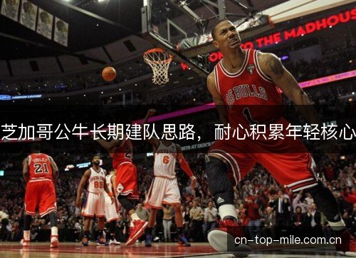 芝加哥公牛长期建队思路，耐心积累年轻核心